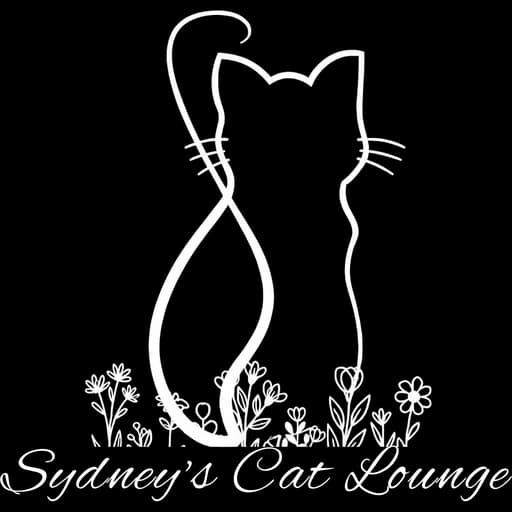 Sydney's Cat Lounge